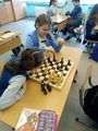 Турнир по шахматам - Турнир по шахматам